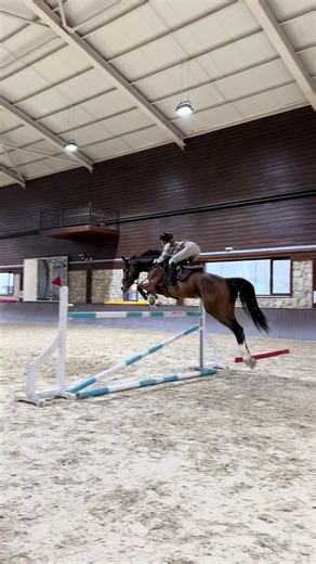 Equestrian Training Time: Tips and Techniques