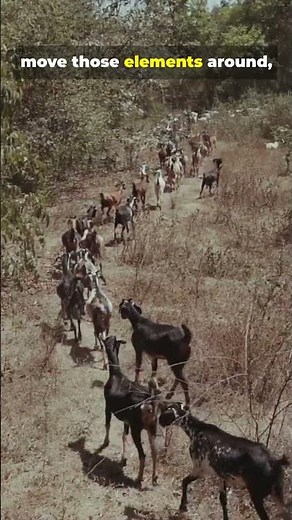 Cycling of Matter in Ecosystems 🔁