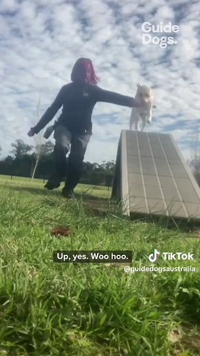 Guide Dogs Australia on TikTok