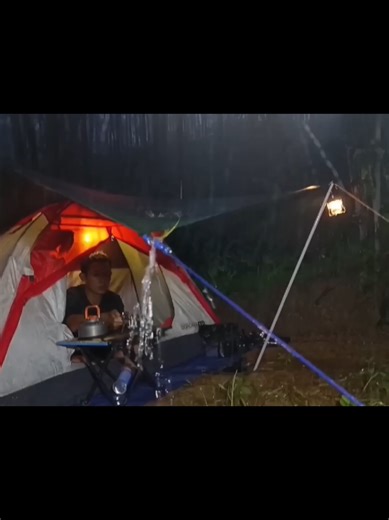 Relaxing Rainstorm Night in a Wild Forest