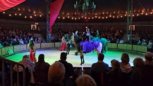 Lisa Commisso on Reels | Facebook