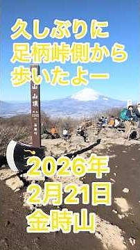 久しぶりに #足柄峠 側から歩いたよー！ #箱根 #金時山 #富士山 #絶景 #芦ノ湖 #shorts