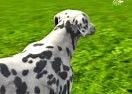 Jogo Dog Simulator 3D no Jogos 360