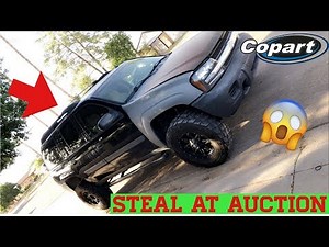 PROJECT TRAILBLAZER! PART 1