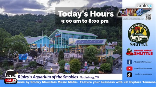 Watch LIVE webcams! Keep up with all of the events in Gatlinburg, Pigeon Forge and Smoky Mountains including today's shows and events at Dollywood! Live local traffic and weather in addition to live webcams from throughout the area. See the weather forecast for Gatlinburg, Pigeon Forge and the Smoky Mountains. Be sure to connect with our YouTube page each day for the latest updates. Real time park hours and events from Dollywood are now live on your computer, TV or phone! LIVE Gatlinburg and Pig