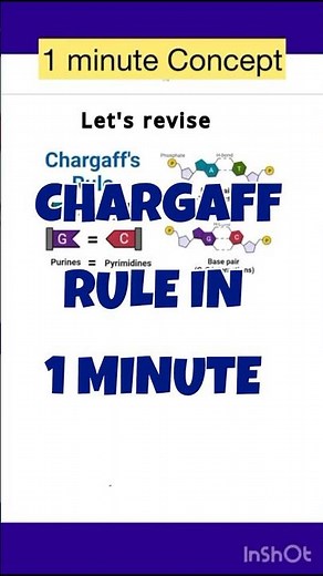 CHARGAFF’S RULE | Base Pairing Explained in 60 Seconds!