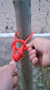 One knot fails… the other holds strong 😲 Learn the right way to tie a secure knot on a tree or pole. Watch till the end 👀 Comment which one you trust more! #Rope #Knot #DIY | Knot Mastery