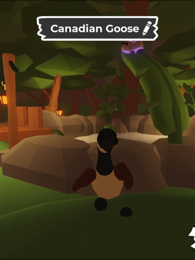 Exploring Adopt Me! A House Tour in Roblox