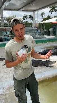 Devin Shows Just How Good Godzilla's Hearing Really Is at Everglades Holiday Park