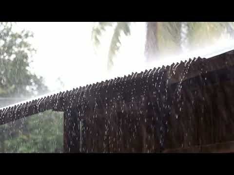 Heavy Rain & Thunder on Metal Roof Sounds for Deep Sleep, Relief, Study, Focus, Relaxation.