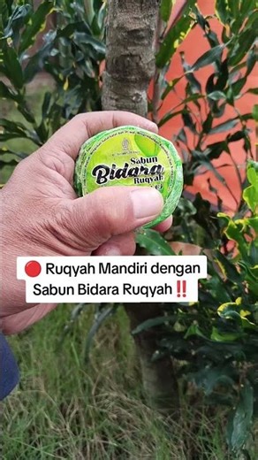 🔴 Bidara Ruqyah Soap plus VCO‼️