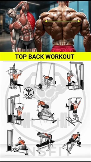 What's The SECRET to a PERFECT Back Workout