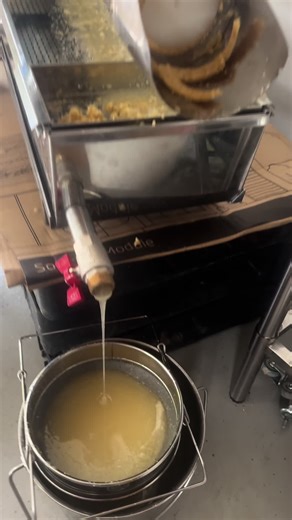 The Art of Beekeeping: Insights for Aspiring Beekeepers