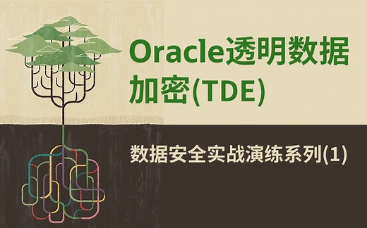 【Oracle 公益课堂 】Oracle透明数据加密(TDE)