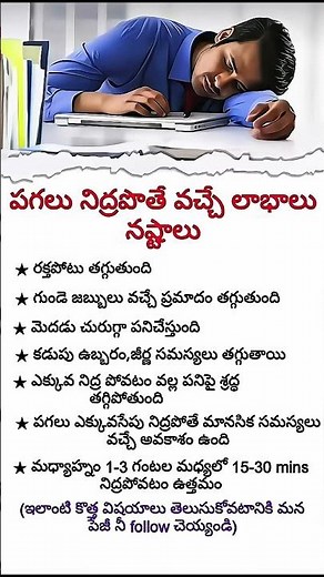 Power Nap vs Sleeping While Studying – What Really Helps Your Brain