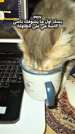 ℰ𝒶𝓇𝓁 𝒢𝓇𝒶𝓎 𝒜𝓃𝒹 𝒫𝓇𝒾𝓃𝒸ℯ𝓈𝓈 ℒ𝒾𝓁𝓎 | #pov #explore #cats #funny #reels | Instagram