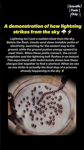 Physics Demonstration of how lightning strikes from the sky 🫨⚡ #physics #science #discovery