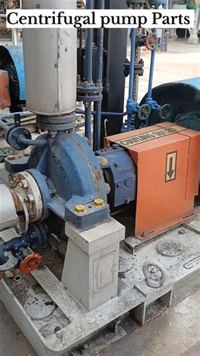 Centrifugal pump Parts Name #pump #centralcee #bearing