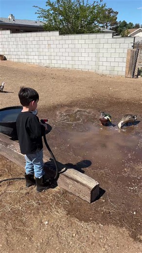 Jennifer Horton on TikTok