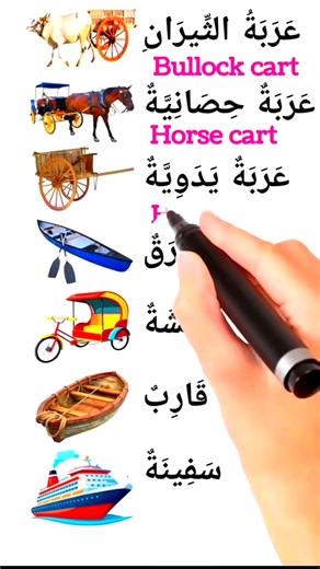 Different types of vehicles vocabulary #speakarabic #learnarabic | Easy Arabic & English