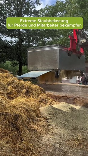 Effective Strategies for Managing Horse Dust Allergies