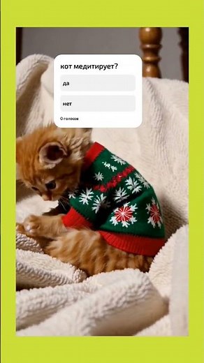 Secret Moves of the Strange Cat