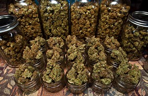 Marijuana Home Delivery Services Launch - Weed Delivery