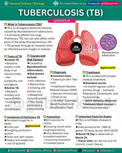 27K views · 454 reactions | ✅ Tuberculosis (TB) Explained | Causes,...