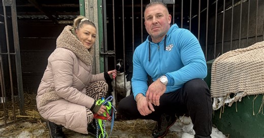 Schronisko dla bezdomnych psów w Suchedniowie nie zostanie zamknięte. Będzie działać pod nowym szyldem i właścicielem