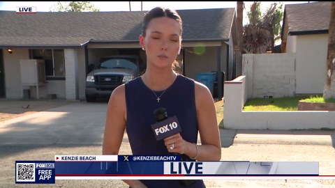 Neighbor describes rescue of palm tree trimmer