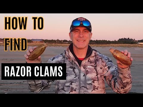 How To Find Razor Clams