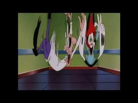 Wakko & Dr. Scratchansniff bouncing around in elevator for about 5 minutes