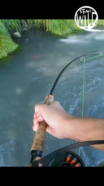 Landing Monster Salmon During a Record Run