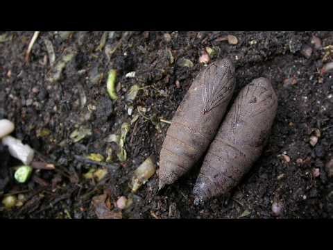 If every find was this easy