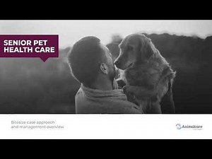 Canine Cognitive Dysfunction Syndrome (CDS) CPD
