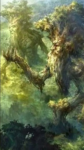 Treebeard | The Lord Of The Rings