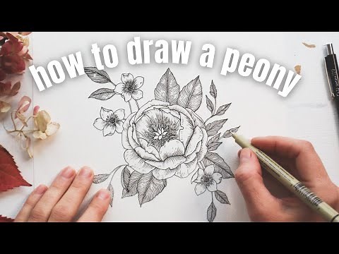 How to Draw a Peony Bloom ❃ Peony Drawing Tutorial ❃ Step-by-Step + Beginner Friendly!