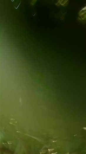 Every adventure needs a little unexpected excitement. 🌳 https://yamaha.us/GrizzlyXTRf #Yamaha #YamahaGrizzly #ATV #REALizeYourAdventure #ProvenOffRoad #Yamaha10YearBelt #AssembledInUSA | Yamaha Outdoors