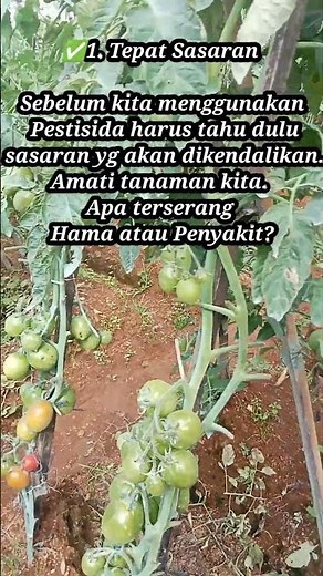 TEPAT CARA PENGGUNAAN PESTISIDA🌿