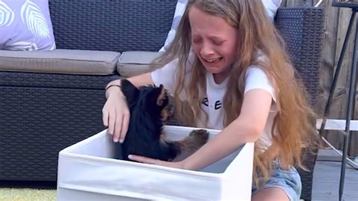Girl meets her dream dog and cannot stop squealing