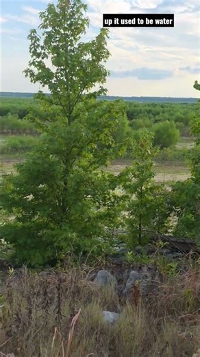 Arkabutla Lake dried up no water - August 2026 #arkabutla #lake #usa #weekend #trip #holiday #fun