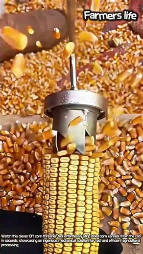 Corn Goes In, Bare Cob Comes Out in Seconds! #worker #process #satisfying #gadgets #tools