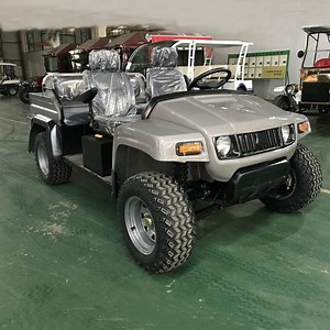 [Hot Item] Farm Used Utility Vehicle UTV/off Road Buggy