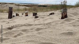 Time lapse of moving sand and grass on Parnidis sand dunes. It is one of the biggest moving sand dunes in Europe. Pardinis dunes are part of UNESCO world heritage site. Curonian Spit, Nida, Lithuania