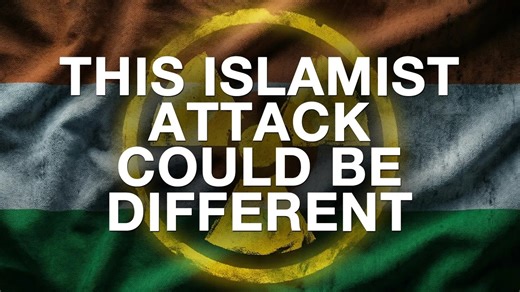 Why was Niger so close to disaster?