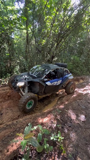 Paseo Smart Sígnal Sport maverick X3🔥