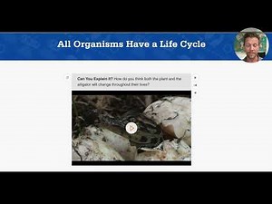 6) Lesson Overview | Into Science