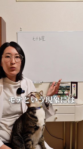 四柱推命を実現する市民講座のご案内