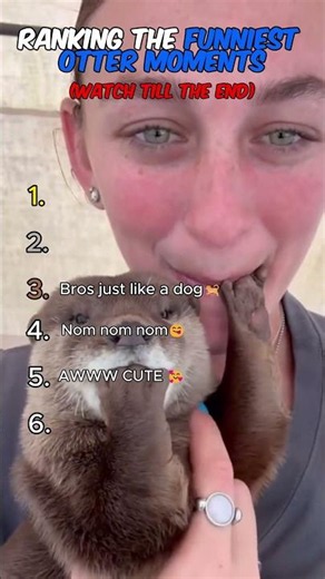 Ranking the Funniest Otter Momentos