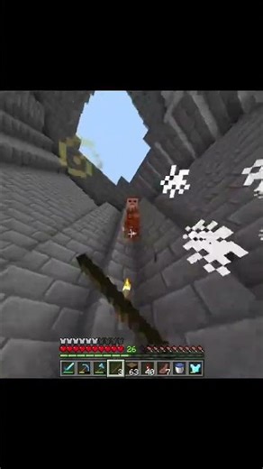 Piñata🎉 #minecraft #memes #humor